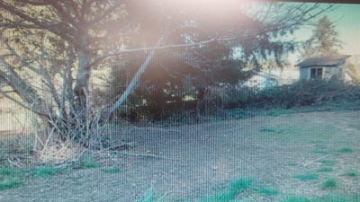 /international/us/115-cowley-crescent-city-ca-110093798044/