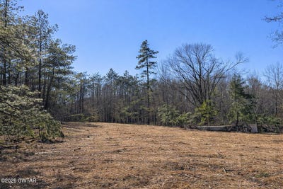 /international/us/3290-butler-chapel-road-ramer-tn-110105951688/