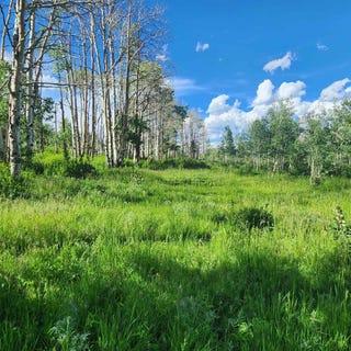 /international/us/zs-road-whitewater-co-110103759718/
