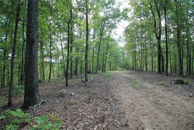 /international/us/0-madison-cr-410-109-fredericktown-mo-110093159275/