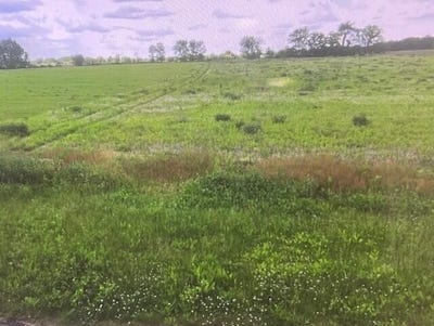 /international/us/lot-37-s-morgan-road-la-porte-in-110101149086/?lang=es