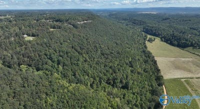 /international/us/lot-2-county-road-223-collinsville-al-110098521246/?lang=zh-tw