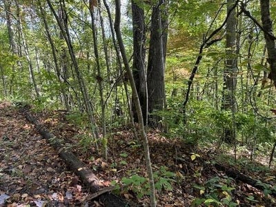 /international/us/h16-h17-shady-grove-road-tuckasegee-nc-110102603785/