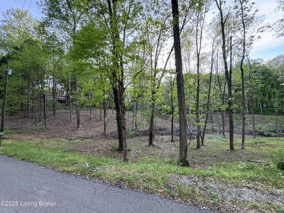 /international/us/lot-44a-walleye-way-scottsville-ky-110099860075/
