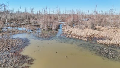 /international/us/2559-mckoy-lane-clarendon-ar-110096890154/
