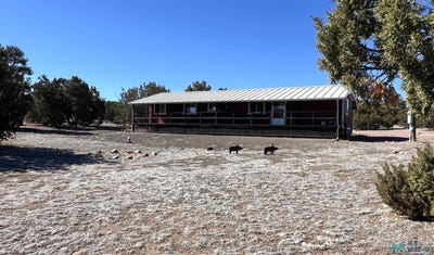 /international/us/12-bridle-trail-road-quemado-nm-110105733276/