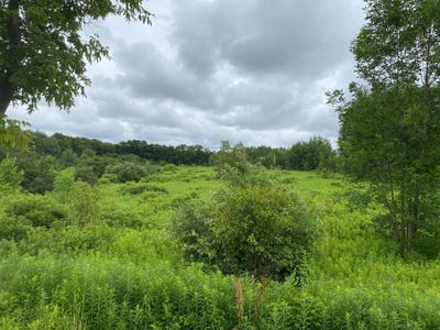 /international/us/2836-us-rt-11-parish-ny-110101152084/?lang=zh-tw