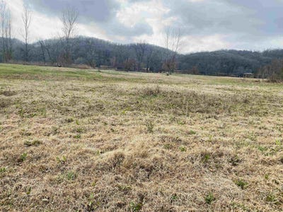 /international/us/lot-49-white-river-run-guion-ar-110097249989/