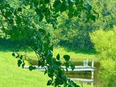 /international/us/317-lone-mountain-lane-brightwood-va-110100246724/?lang=zh-tw