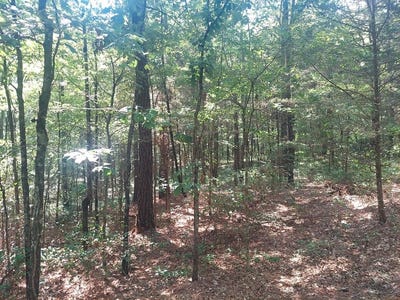 /international/us/radford-lake-rd-henry-tn-110101543419/
