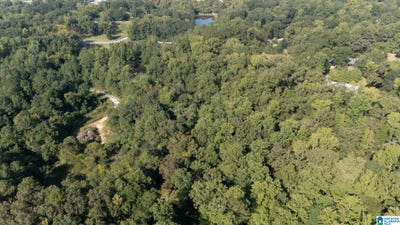 /international/us/magnolia-circle-lot-0-centreville-al-110102476673/