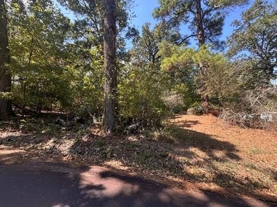 /international/us/1144-county-road-2650-shelbyville-tx-110110137199/