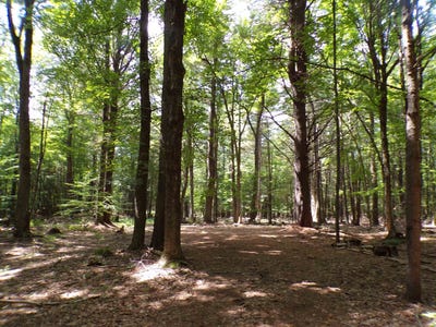 /international/us/randall-dr-potsdam-ny-110119359692/