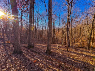 /international/us/0-oak-grove-rd-waverly-wv-110104103727/