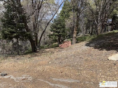 /international/us/6032-tripp-ln-angelus-oaks-ca-110106977100/