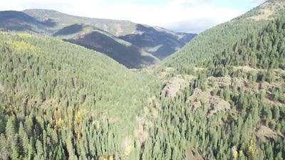 /international/us/nhn-pilgrim-creek-road-noxon-mt-110097665136/?lang=zh-cn