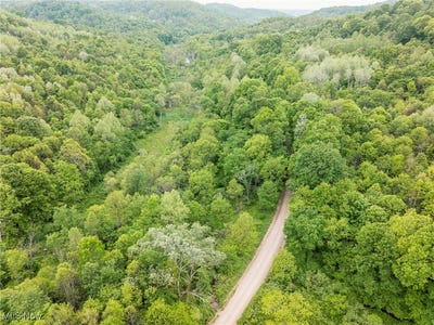 /international/us/prider-road-kimbolton-oh-110099728596/