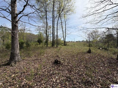 /international/us/311-old-glen-dean-axtel-lane-hardinsburg-ky-110107809627/
