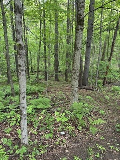 /international/us/0-south-royalston-rd-royalston-ma-110099771711/?lang=zh-cn
