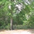 /international/us/n-park-street-defuniak-springs-fl-110107204362/