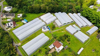 /international/pr/137-km-9-9-bo-franquez-la-alianza-morovis-morovis-110105707415/