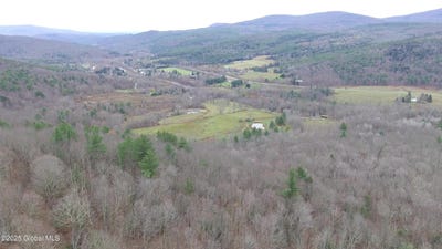 /international/us/148-acres-mount-eden-estates-road-lexington-ny-110099444330/?lang=zh-cn
