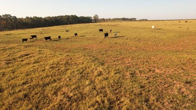/international/us/1261-bluffton-rd-ft-gaines-ga-110108224990/