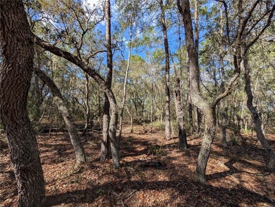 /international/us/120-122-north-carolina-drive-satsuma-fl-110102280628/