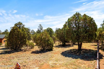 /international/us/3327-sawmill-ridge-loop-heber-az-110100123789/