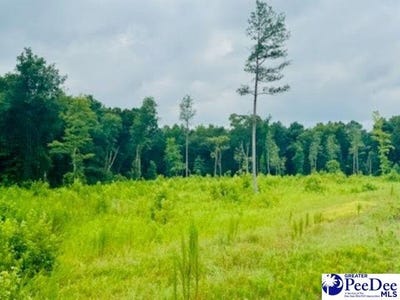 /international/us/0000-santa-anita-rd-4-61-cheraw-sc-110101099352/