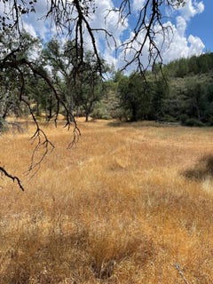 /international/us/10217-holtzel-rd-coulterville-ca-110101873307/