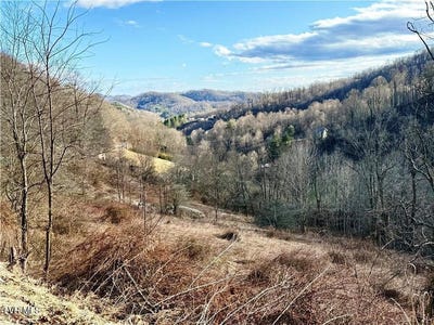 /international/us/willard-johnson-road-cove-creek-nc-110105953896/
