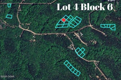 /international/us/block-6-piney-woods-e-330-road-lot-4-jay-ok-110110175668/