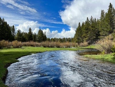 /international/us/11203-skinners-meadows-road-jackson-mt-110104574498/