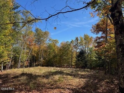/international/us/30-mohican-trail-north-creek-ny-110102885361/