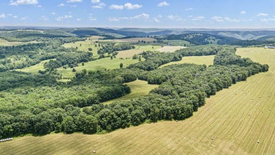 /international/us/ar-254-highway-leslie-ar-110100613388/