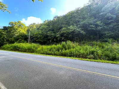 /international/us/2128-holt-town-road-newport-tn-110086412389/