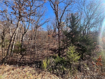 /international/us/lot-190-geranamo-lane-rocky-mount-mo-110096877010/?lang=en