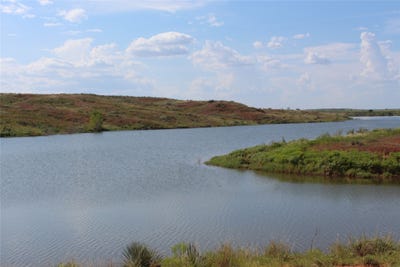/international/us/800-acres-memphis-tx-110102706689/