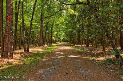 /international/us/16100-bayou-cocoa-point-kiln-ms-110119344862/