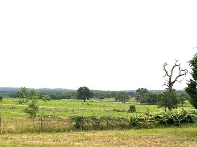 /international/us/160-rosanky-cattle-company-rd-smithville-tx-110107955792/