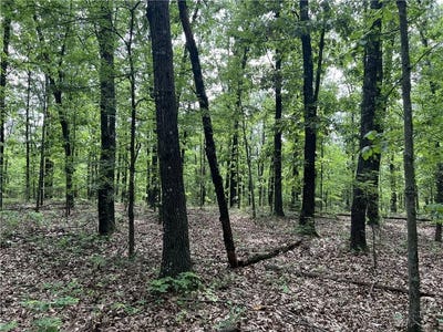 /international/us/9-58-acres-on-meadow-creek-dr-harrison-ar-110094080820/?lang=zh-cn