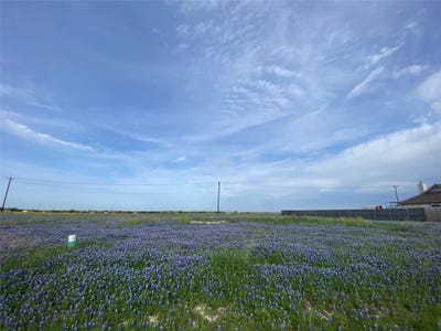 /international/us/360-meadow-valley-loop-jarrell-tx-110100866017/