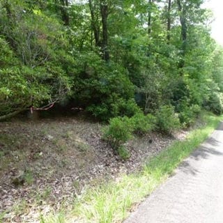 /international/us/mountain-view-drive-lot-17-lowgap-nc-110087541745/
