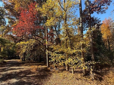 /international/us/poole-road-mayodan-nc-110103307771/