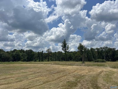 /international/us/20-acres-county-road-125-moulton-al-110101434314/?lang=zh-cn