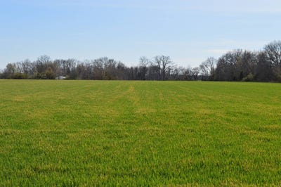 /international/us/20-county-road-mill-shoals-il-110106669761/
