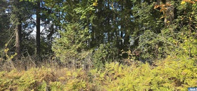 /international/us/22-rose-port-angeles-wa-110120127429/
