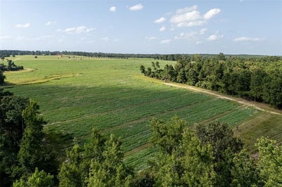 /international/us/00-county-road-2180-grapeland-tx-110100943315/?lang=en