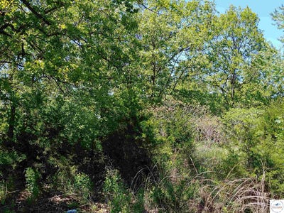 /international/us/e-lake-hills-dr-lot-s-13-14-19-hermitage-mo-110108805680/